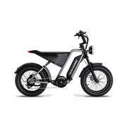 D-3 Electric Fat Tire Bike